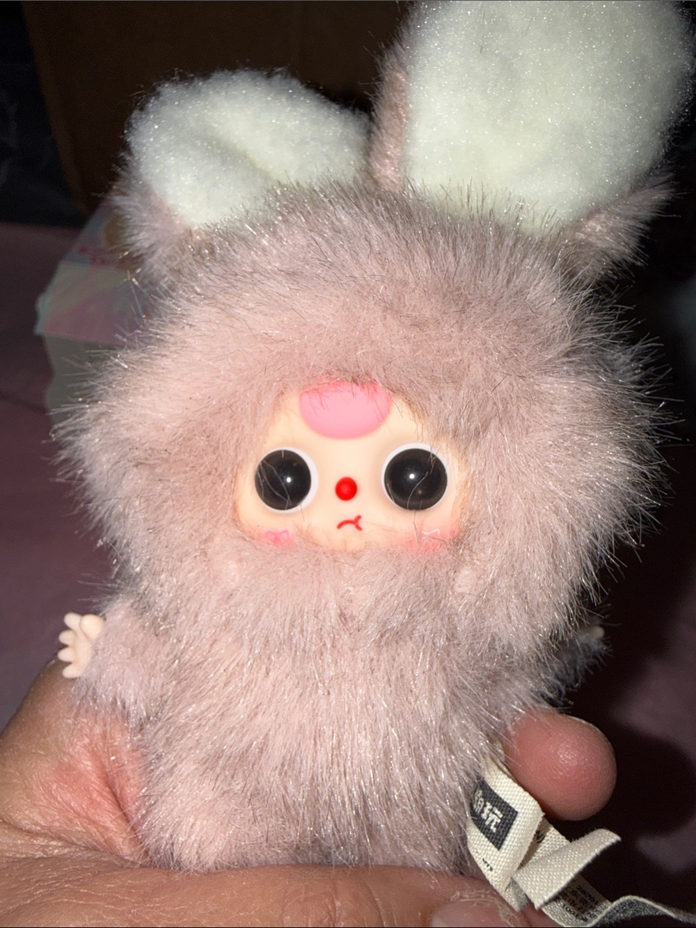 Baby Three Super Mini Bunny CONFIRMED O SPECIAL EYES! - Picture 9 of 13